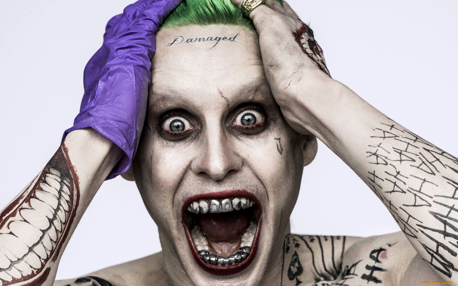  , suicide squad, , , , joker, jared, leto, suicide, squad, , , , , , 